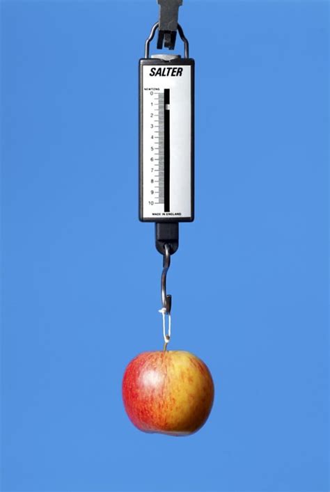 What is a Newton Meter? - Answered - Twinkl Teaching Wiki