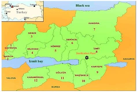 Application of Sterilization Process for Inactivation of Bacillus ...