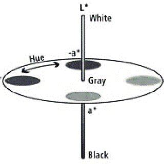 Image result for CIP Lab Color