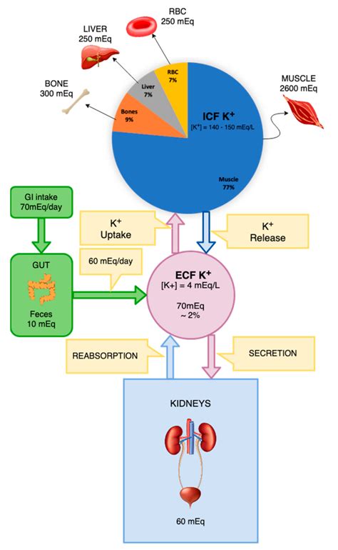 Hyperkalemia in Diabetes Mellitus Setting