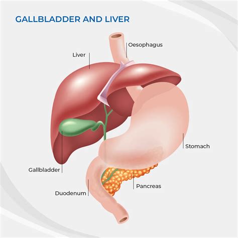 Gallbladder Removal Before And After Gallbladder Removal Surgery In