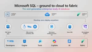 Image result for SQL Server 2025 Co-Pilot