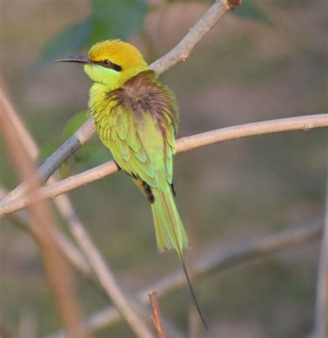 The 10 Best Hotel Deals in Jhargram District (Mar 2024) - Tripadvisor