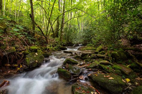 Dark Ridge Creek | 1100 Acres | Balsam Mountain Preserve Land