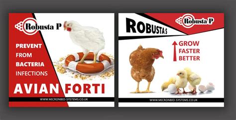 designing a visual | Freelancer