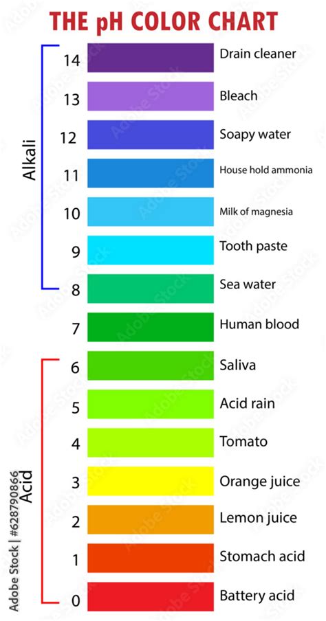Image result for pH Scale Chart Printable