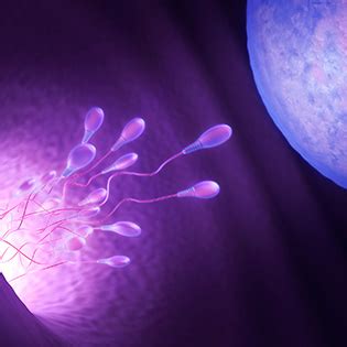 Top Fertility Drugs for Women