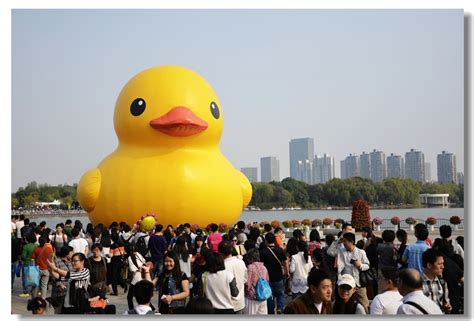 国内多地出现造型各异“大黄鸭” 被指山寨 Mini copy of famous huge rubber duck appears in ...