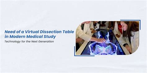 Virtual Dissection Table 的图像结果