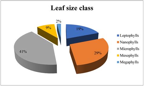 Plant Species Classification and Diversity of the Understory Vegetation ...