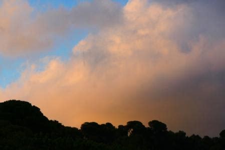 La Torre de Collserola juega al escondite