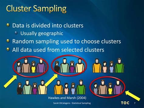Statistical Sampling Basic 的图像结果