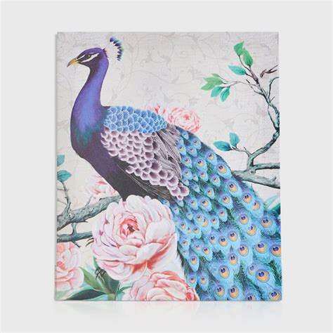 Buy Abbey Peacock Set of 2 Canvas Picture Frames - 25x30cm from Home ...