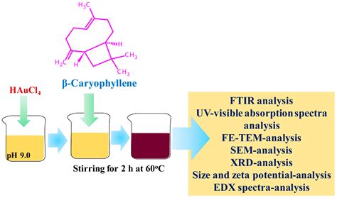Inhibition of Mixed Biofilms of Candida albicans and Staphylococcus ...
