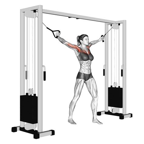 Cable Crossover Back