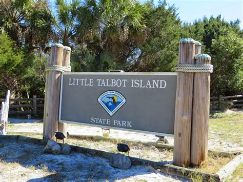 Nature Is Real: LIttle Talbot Island State Park