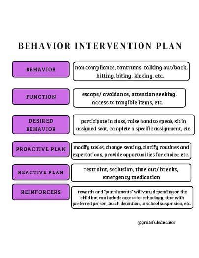 Image result for Functional Behavior Plan Sample