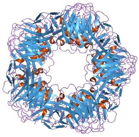 Resultado de imagen de c reactive protein zu hoch