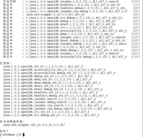 Manage Multiple Java Versions CentOS 的图像结果