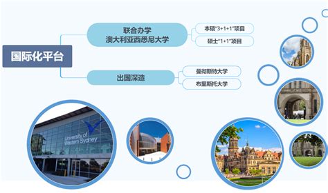 外国语学院与中译语通科技（青岛）有限公司建立教学科研与学生就业实践基地-青岛科技大学外国语学院