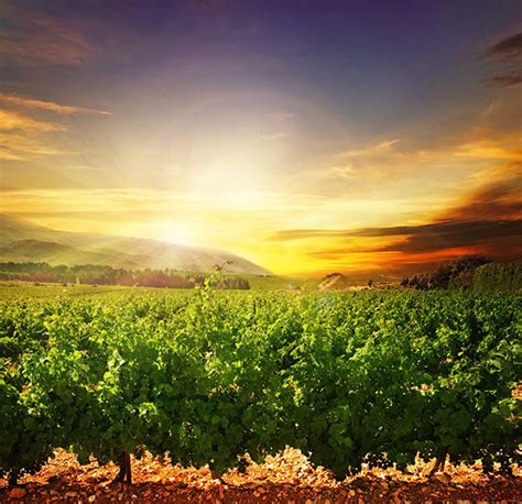 Sconiers Funeral Home Columbus, Georgia