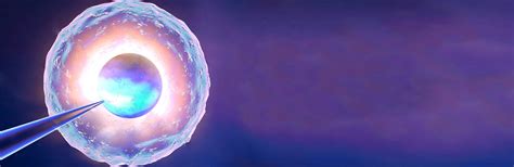 Assisted Laser Hatching, Laser Hatching IVF at Bloom IVF Clinic