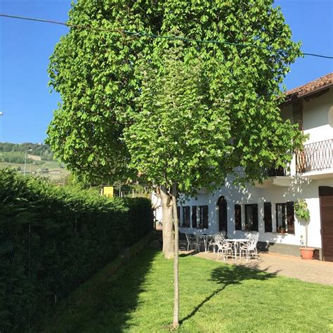 CASA BAMBIN (La Morra) - B&B Reviews & Photos - Tripadvisor