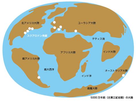 Image result for JavaScript Operators Precedence Table