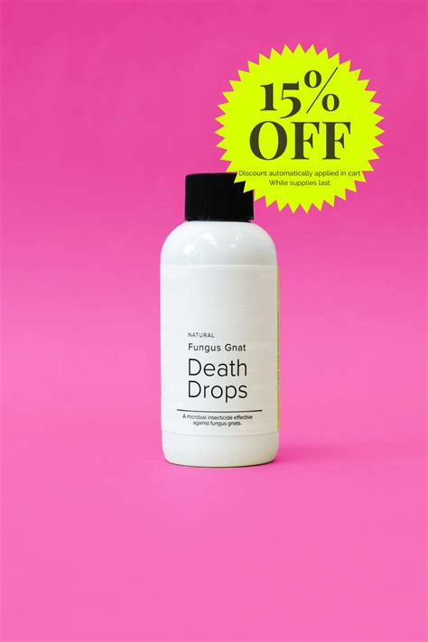 Fungus Gnat Death Drops | Happy Happy Houseplant