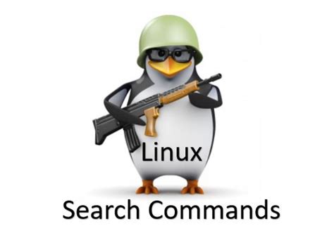 How to Find a File in Linux 的图像结果