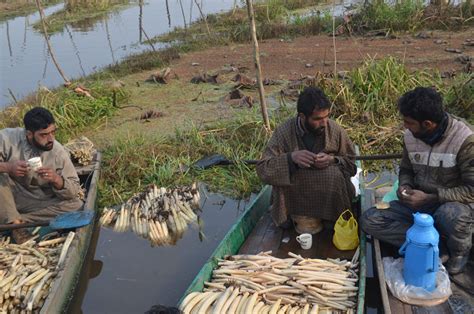 WWD 2024: Both Wetlands & Human Beings Remain Neglected – SANDRP