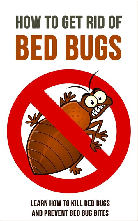 How to Get Rid of Bed Bugs: Learn How to Kill Bed Bugs and Prevent Bed ...