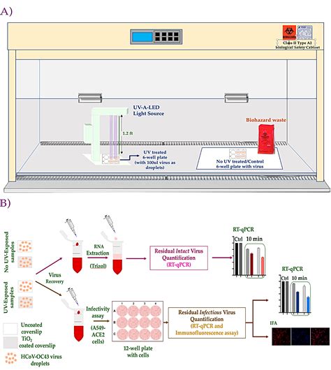 Surface Inactivation of Human Coronavirus by MACOMA™ UVA-TiO2 Coupled ...