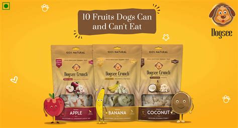 What Fruits Can Dogs Eat? The best 6 fruits for Dogs to eat