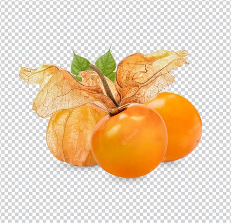 Premium PSD | Cape gooseberry physalis with leaves isolated premium psd