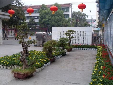 荆州市沙市实验小学校园风采--湖北文明网