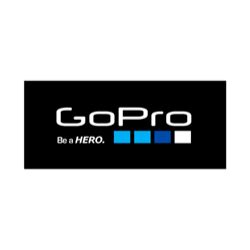 Image result for GoPro Logo Quiz