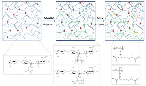 Design and Preparation of New Multifunctional Hydrogels Based on ...