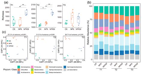 Organic Amendments Enhance Peanut Nodulation by Influencing ...