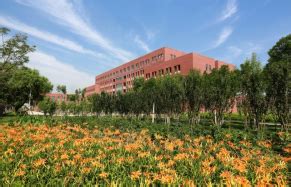 天津理工大学高等学历继续教育2023年成人高考招生简章-继续教育学院