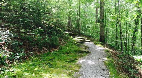 THE SYCAMORE (Clinton) - Hotel Reviews & Photos - Tripadvisor