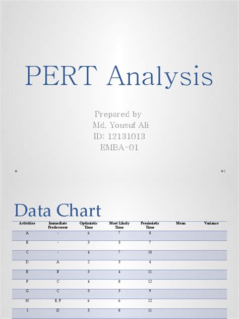 Pert Analysis Example 的图像结果