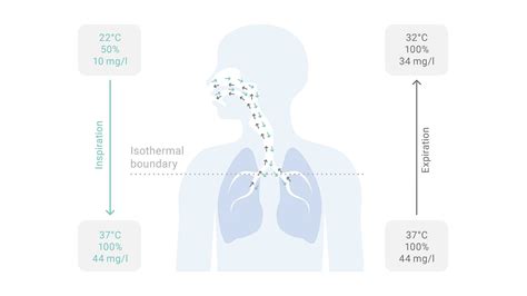 Image result for High Flow FiO2