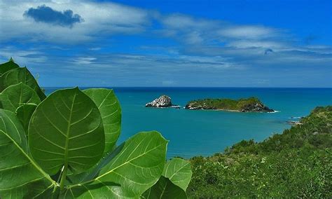 MOCHIMA (2025) All You Need to Know BEFORE You Go (with Photos ...