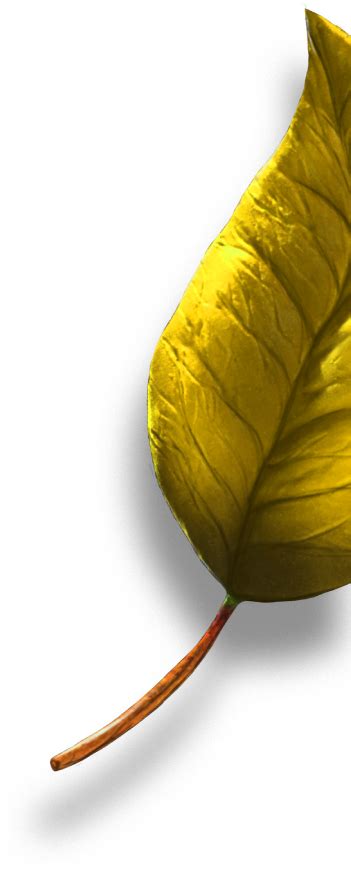 Image result for SQL Developer Filter On Date