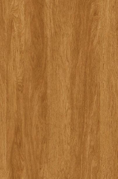 Buy Century Prowud Prelam Particle Board - 3503 - Padauk Burl at Best ...