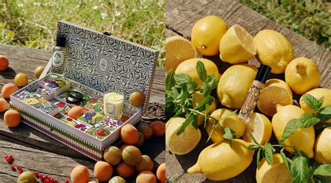 ELLE Exclusive: Diptyque’s Summer Fruit Garden – ELLE Beauty Team Tries ...