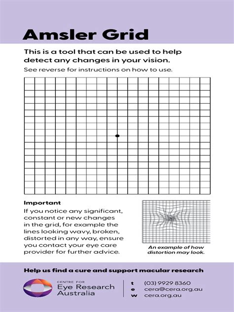 Amsler Grid: Vision Change Detection Tool | PDF