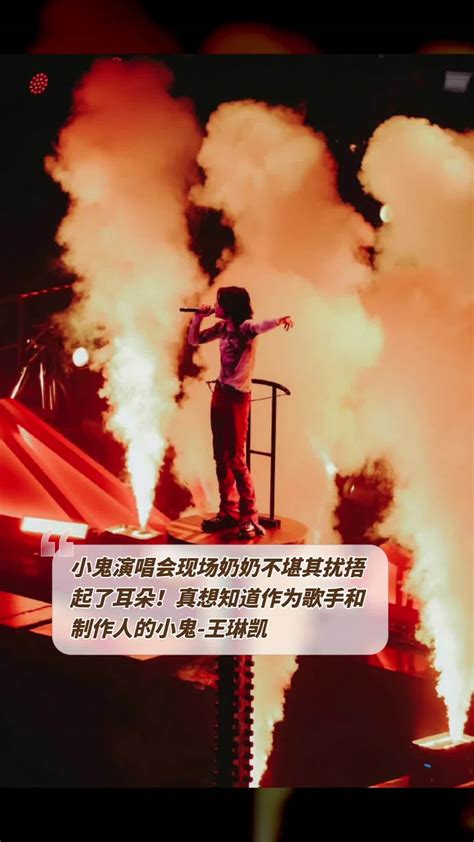 《小鬼王琳凯 2.0 个人音乐会 》郑州站_嘀蓝就是马东-站酷ZCOOL