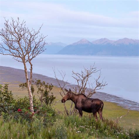 KINCAID PARK (2026) All You Need to Know BEFORE You Go (with Photos ...